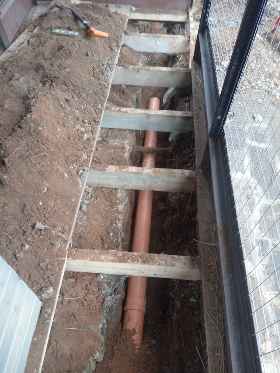 WhatsApp Image 2025-03-27 at 20.11.57